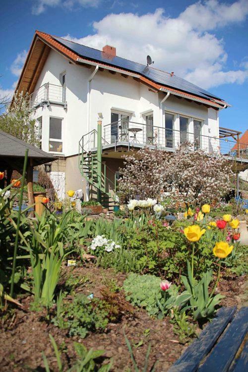 Ferienwohnung Dr. Vera Schmidt Kreischa Exterior photo